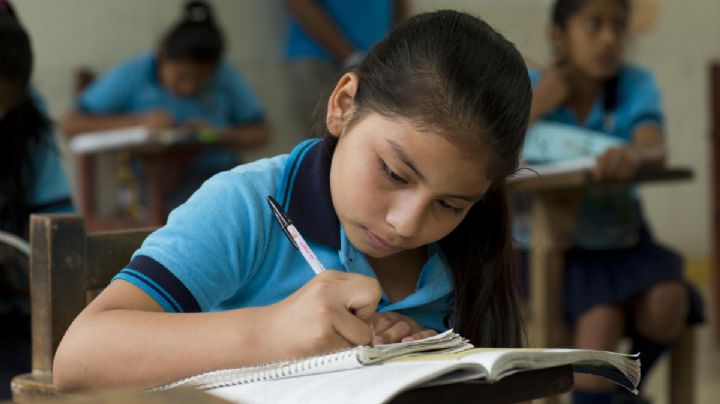 Educación y machismo: “En el mundo, 129 millones de niñas no van a la escuela”