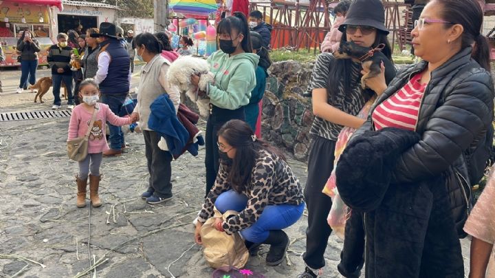 VIDEO: Con gallinas y hasta tortugas, fieles piden a San Antonio Abad que proteja a sus animales