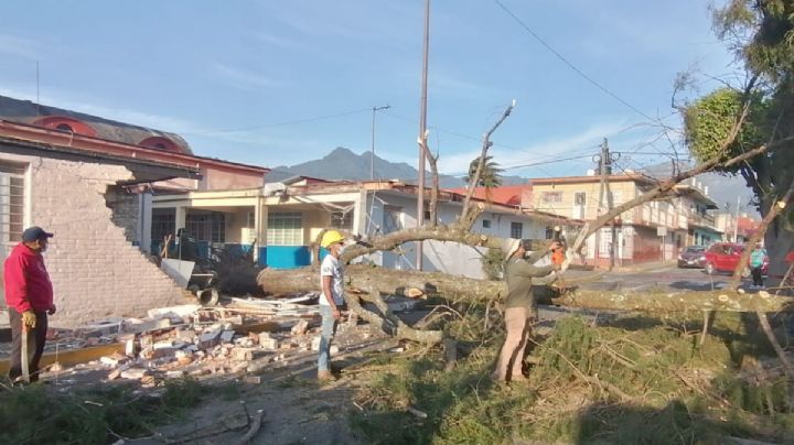 Fuerte surada en Orizaba deja casas destechadas y bardas caídas