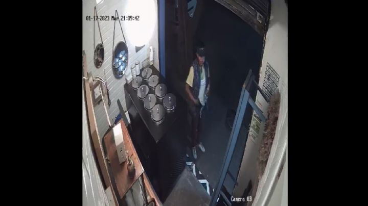 VIDEO: Así se vivió el robo a la heladería Casa Morgana en la Cuauhtémoc