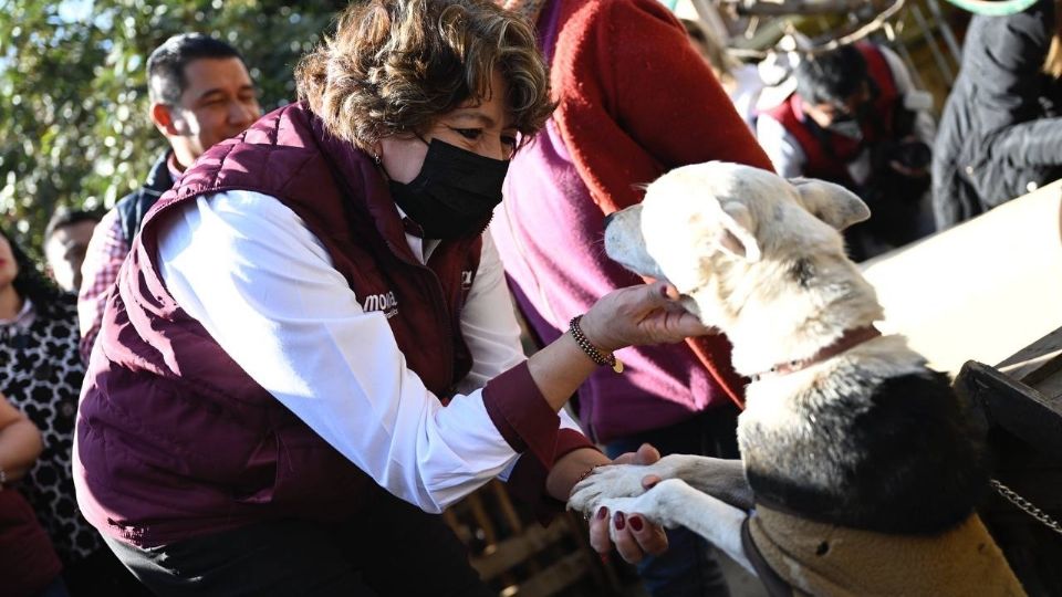 Delfina Gómez recorrió una granja de animales rescatados en Ixtapaluca; pidió darles una vida digna