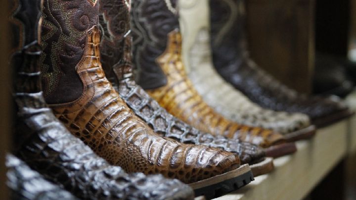 La bota vaquera hecha en Guanajuato, la más buscada en el mercado estadounidense