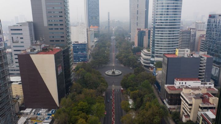 Las colonias más costosas y con más demanda para vivir en CDMX