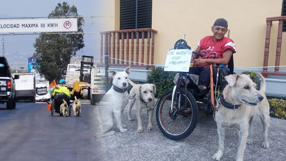 Se aventuró por autopistas con su silla de ruedas modificada junto a sus cuatro perritos