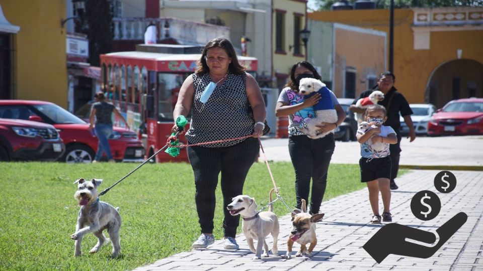 Una de las recomendaciones es realizar un presupuesto y así evitar gastos innecesarios para tus mascotas.