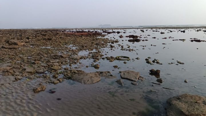 VIDEO: ¿Por qué se alejó el mar de las playas de Boca del Río?