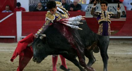 Corridas de toros y la postura de Claudia Sheinbaum, ¿qué dice la presidenta?