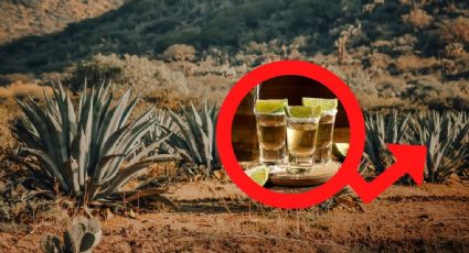 ¿Cuánto ha crecido la producción y exportación de tequila?