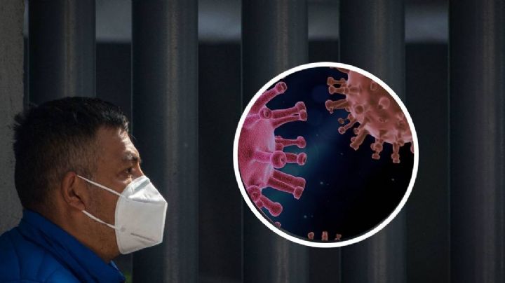 Covid-19: Ecuador, Brasil, Perú y Chile presentan primeros casos de variante "Pirola"