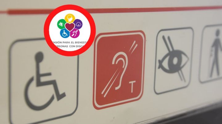 ¿Qué tipo de discapacidades entran en el programa de Bienestar?