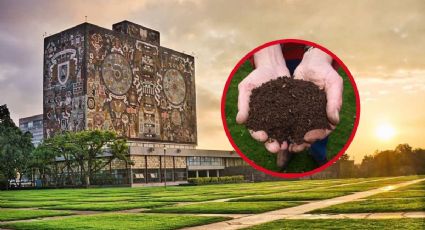 UNAM crea composta con popó de perro para proteger el medio ambiente