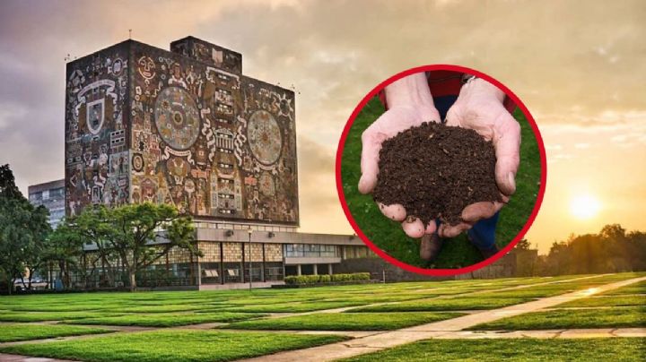 UNAM crea composta con popó de perro para proteger el medio ambiente