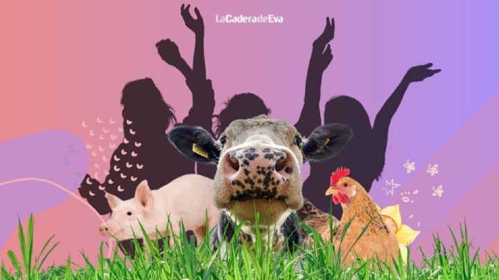 Mujeres mexicanas: veganismo y movimiento antiespecista