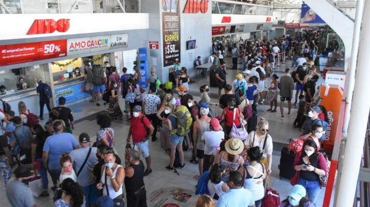Drogaban a adultos mayores con galletas para después robarlos
