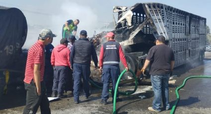 Choca tráiler con reses y se incendia en la México-Querétaro