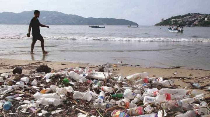 ¿Cuántos millones de muertos deja la contaminación al año? Abren foro