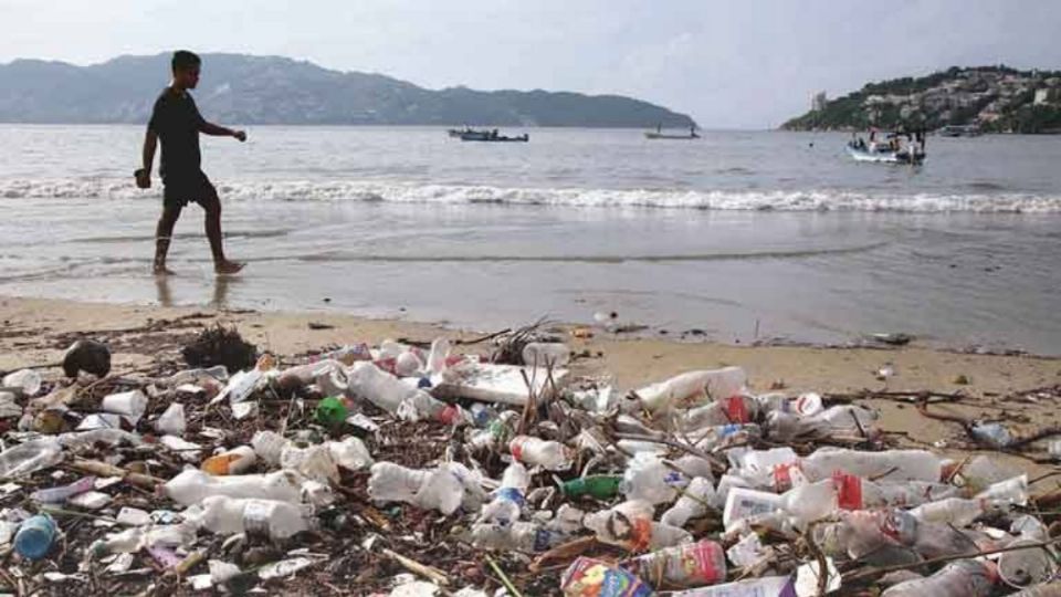 Contaminación del medio ambiente causa muertes alrededor del mundo