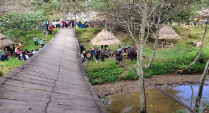 VIDEO: Colapsa puente colgante en centro ecoturístico; autoridades callan