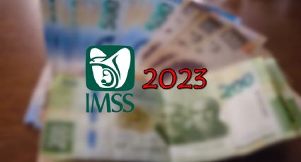 ¿Podría perder mi Pensión IMSS 2023 si tengo una deuda fiscal ante el SAT?