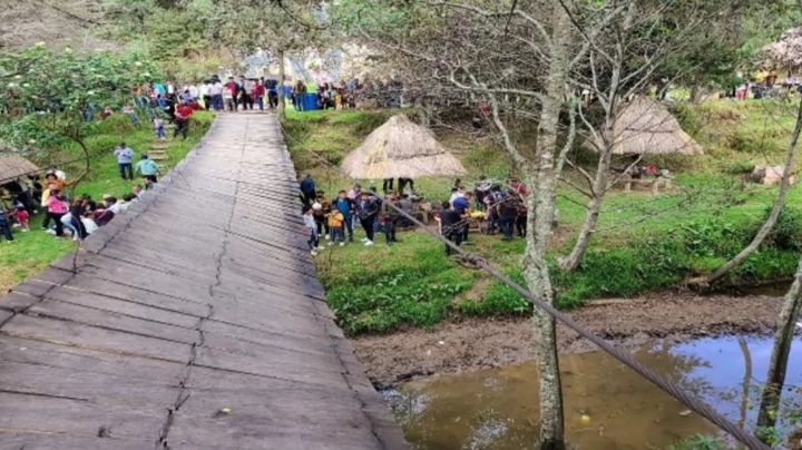 VIDEO: Colapsa puente colgante en centro ecoturístico; autoridades callan