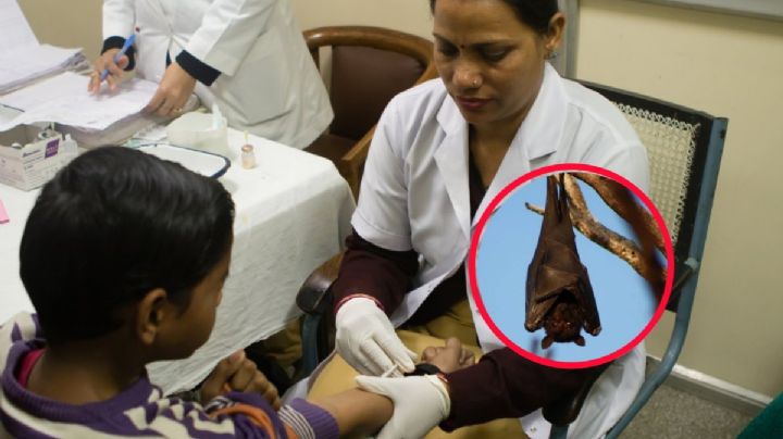 Niña contagiada de rabia en Oaxaca queda en estado vegetativo