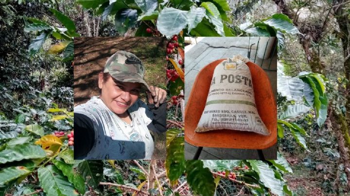 Reyna, docente y caficultora que impulsa economía estancada en Veracruz