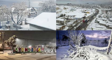 FOTOS: La Rumorosa se pinta de blanco, así quedó después de la nevada