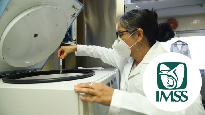 ¿Eres médico especialista y buscas trabajo? El IMSS está contratando en Veracruz