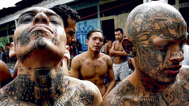 Pandillero recibe 1,400 años de cárcel por homicidio y extorsión