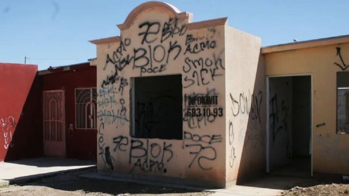 Diputada propone comprar casas abandonadas en Hidalgo y darlas a personas vulnerables