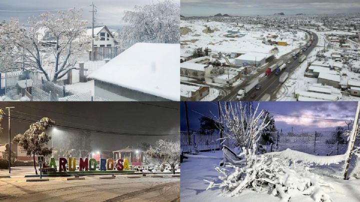 FOTOS: La Rumorosa se pinta de blanco, así quedó después de la nevada