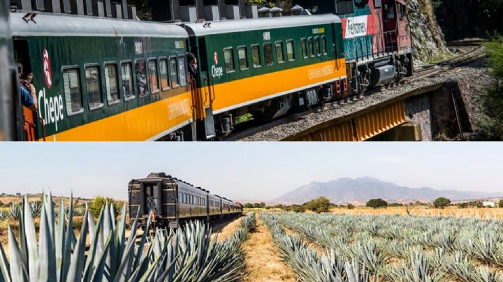 ¡Todos a bordo! Rutas de trenes para viajar por México