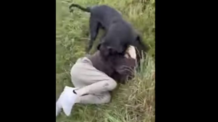 Pedófilo es recibido con perros tras citar a menor de edad por internet