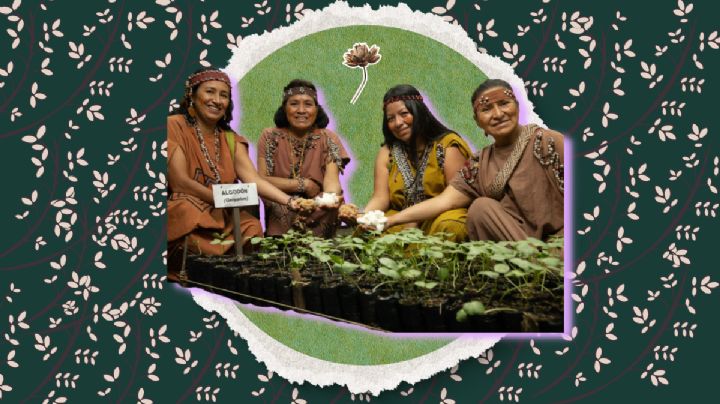 Mujeres y territorios: en defensa de los ecosistemas