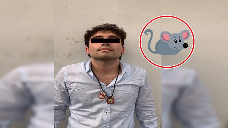 Ovidio Guzmán no sólo es conocido por ser hijo de uno de los capos más peligrosos de todos los tiempos, también por su famoso apodo: 'El Ratón'.