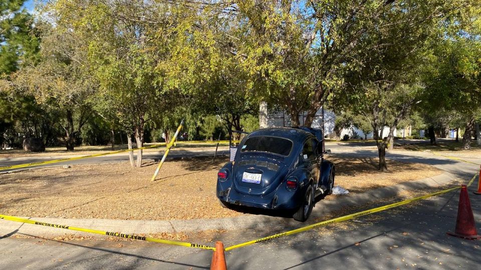 El Volkswagen se detuvo al estrellarse en un árbol.