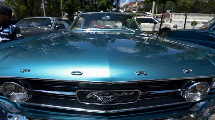 Paga tu refrendo, te decimos cuánto te costará