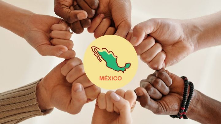 ¿Te gustaría trabajar en una ONG?, aquí algunas vacantes para postularte