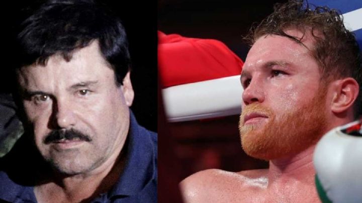Valeria Quiroz, el vínculo que une a el "Canelo" Álvarez con "El Chapo" Guzmán