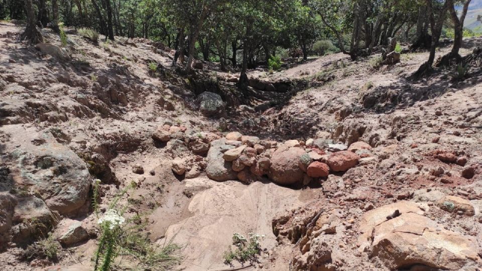 La SMAOT  realiza diferentes labores de restauración en diferentes Áreas Naturales Protegidas con el fin de mejorar sus condiciones ambientales