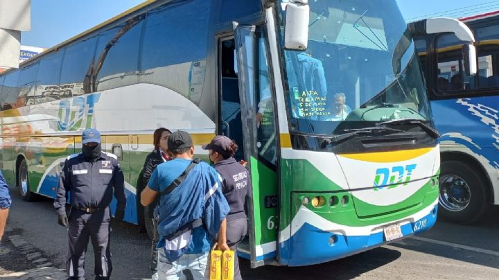 ¿Volverán a circular autobuses ODT entre Hidalgo, Edomex y CDMX? Entérate de los detalles