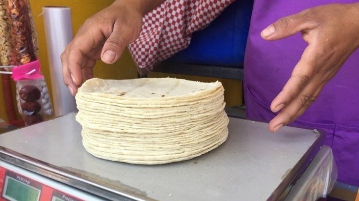 ¿Kilo de tortilla a 30 pesos?