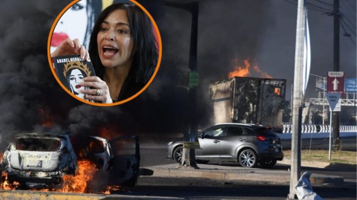 VIDEO: Esto es lo que la 4T oculta sobre la captura de Ovidio Guzmán