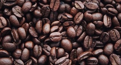¿Eres fan del café? Estos son los mitos que no conocías de la taza que te tomas todas las mañanas