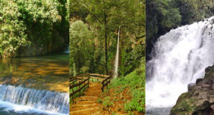 Estas son las 5 cascadas para visitar cerca de Xalapa