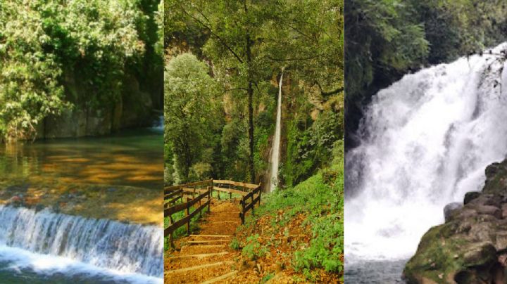 Estas son las 5 cascadas para visitar cerca de Xalapa