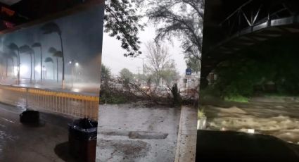 VIDEO| Huracán Lidia impacta Jalisco, así son los destrozos que dejó a su paso