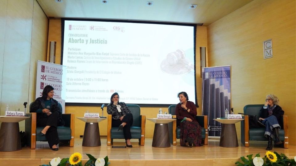 No se puede utilizar el derecho penal para castigar a alguien que ya está tomando una decisión dura como lo es el aborto.