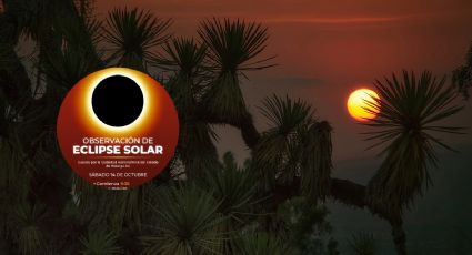 Eclipse solar: ¿dónde verlo de manera segura en Pachuca?