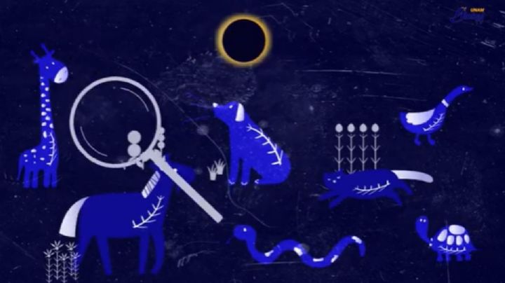 Eclipse Solar: ¿Cómo afectará a los animales? Esto dice la UNAM